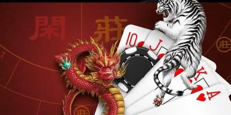 Hiểu rõ về rồng hổ