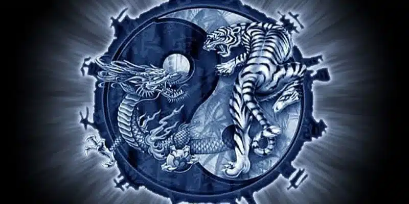 Chiến thuật đặt cược rồng hổ chỉ trong tích tắc