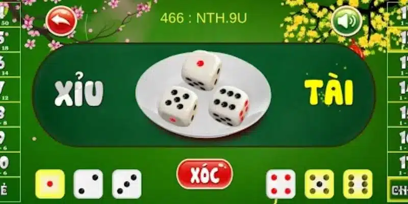 Những loại cược tài xỉu cần nắm vững